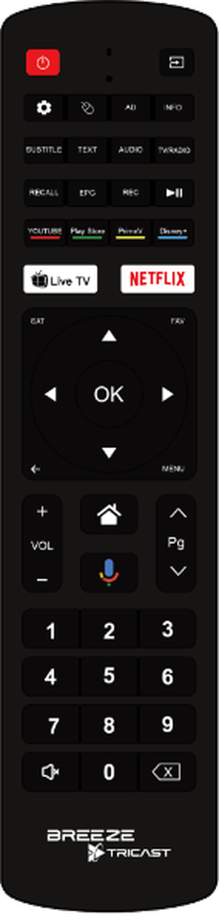 Tricast Bluetooth remote control